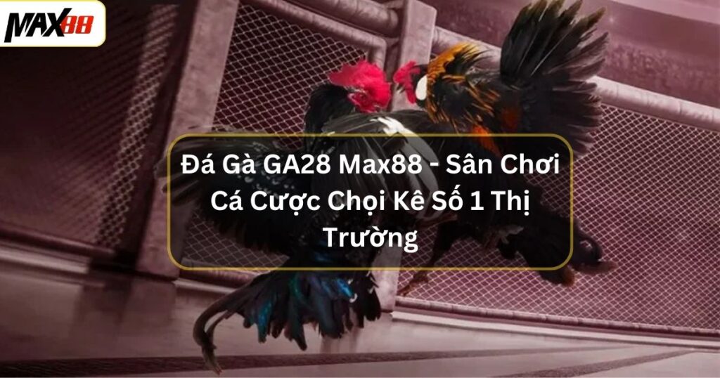 Đá Gà GA28 Max88 - Sân Chơi Cá Cược Chọi Kê Số 1 Thị Trường 1 Đá Gà GA28 Max88 - Sân Chơi Cá Cược Chọi Kê Số 1 Thị Trường